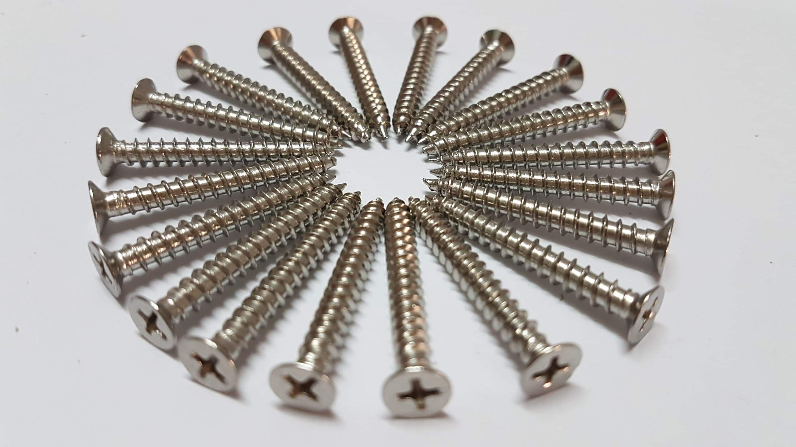 Bộ 100 ốc vít bắt tường inox 201 - Inox 304 - 4x30mm