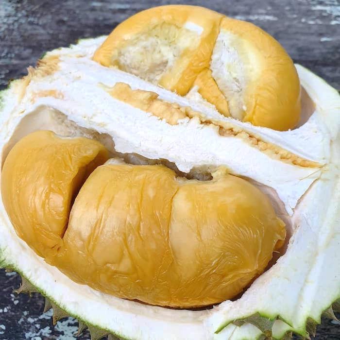 CÂY Giống sầu riêng Black Thorn  .(