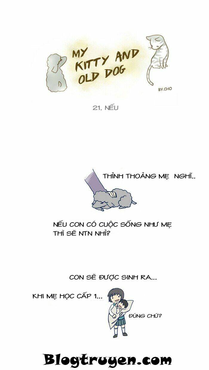 my kitty and old dog chapter 22 2