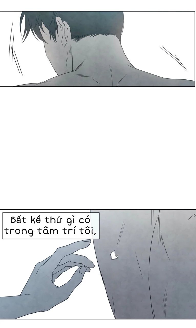 summer solstice point chapter 4 42