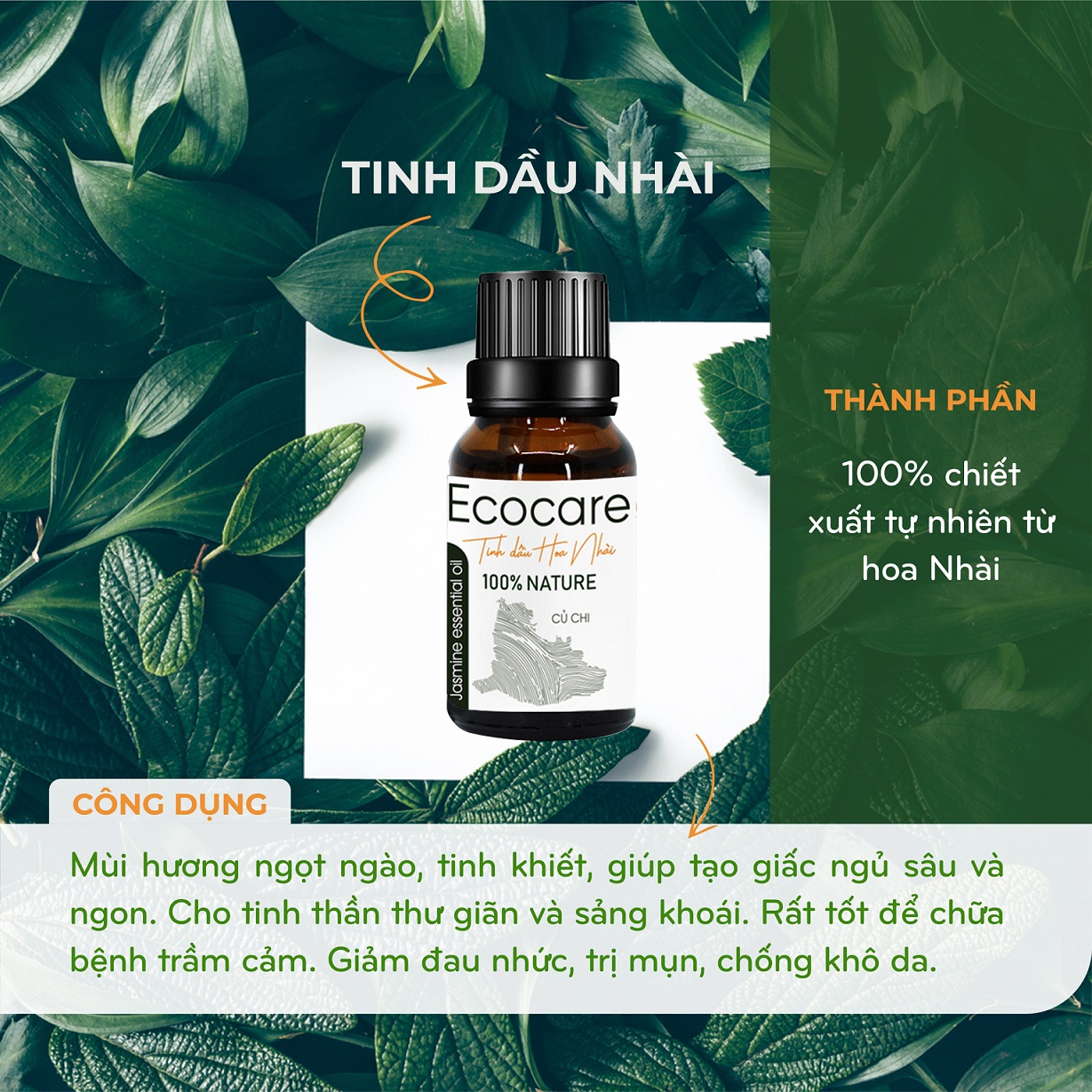 Tinh Dầu hoa Nhài EcoCare 10ml - Vùng nguyên liệu và kiểm nghiệm đạt chuẩn Đức - Tặng nến TeaLight