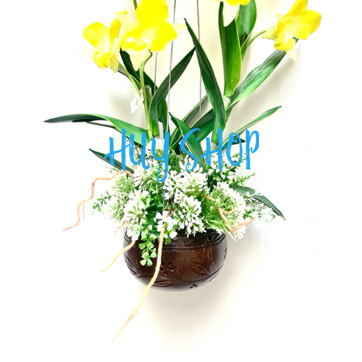 Giỏ gáo dừa Hoa LAN CÒ  Vải cao cấp trang trí treo trần nhà