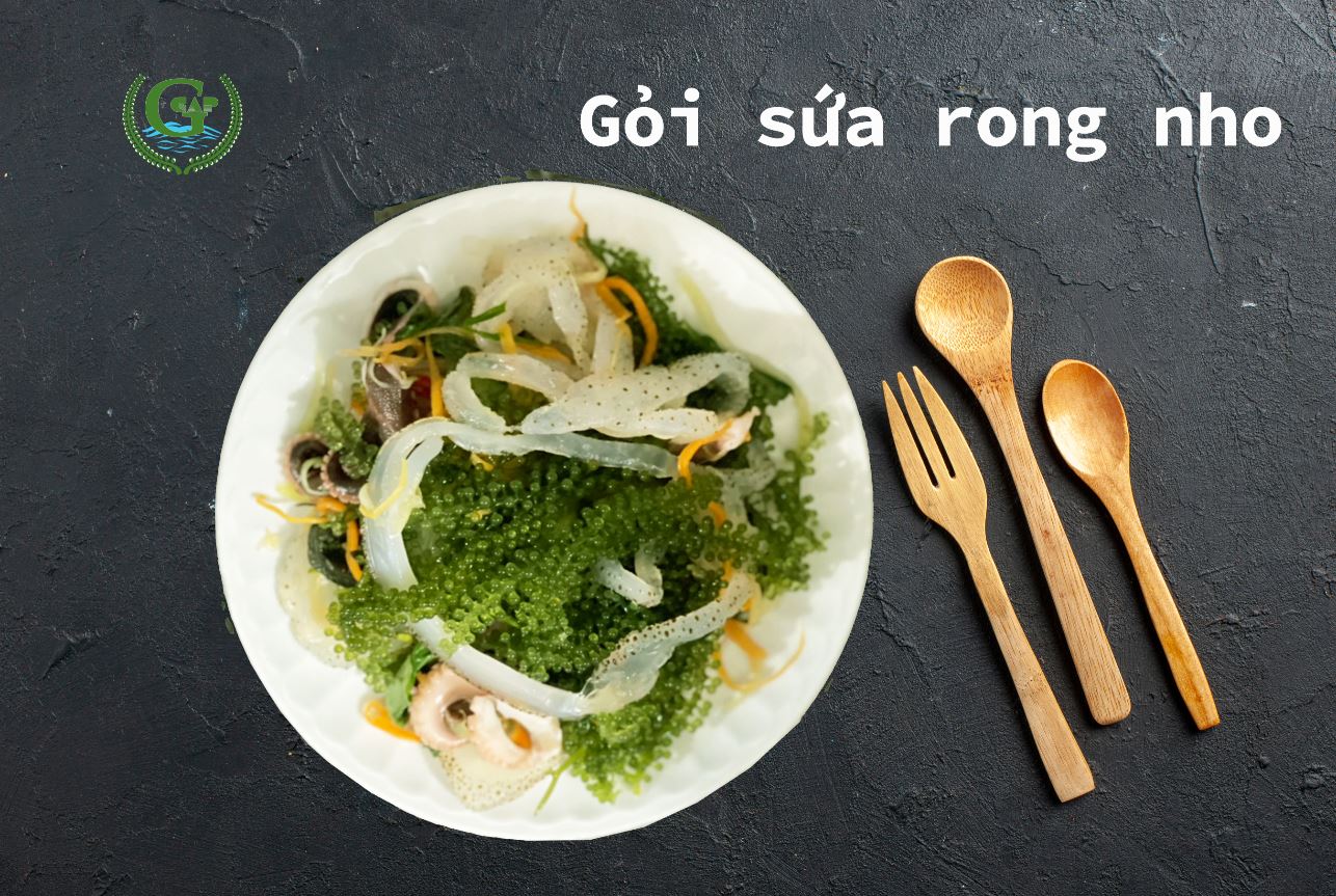 Rong nho biển GREEN FOOD - Sea grapes - Giàu vitamin, khoáng chất và các axit amin  (Túi zipper 100G)