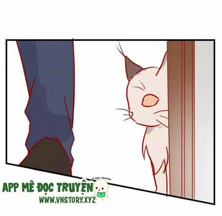 hồ tiên này không tin được chapter 43 10