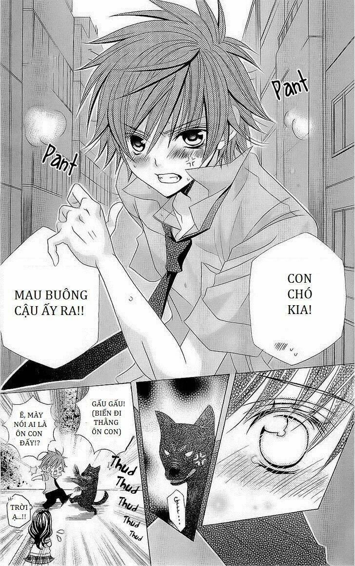 suki desu suzuki-kun!! chapter 42 14