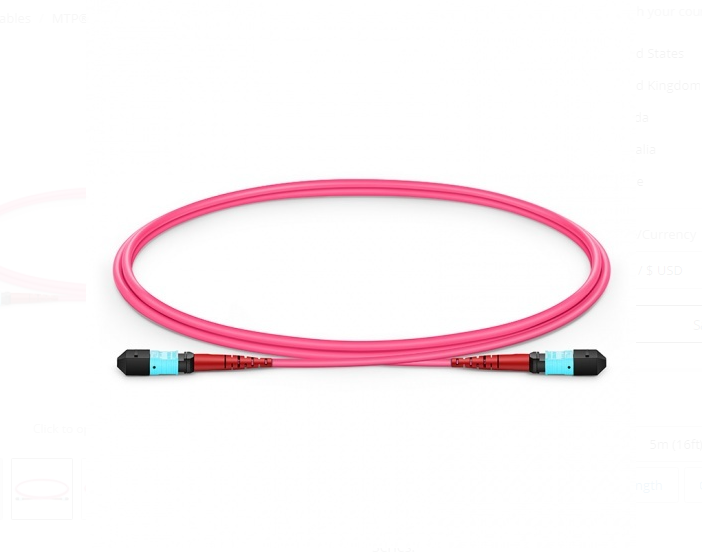Dây nhảy quang MTP to MTP Female, OM4 Type A, 24 Fibers Elite Trunk Cable sample - Xmethod Network - Hàng chính hãng
