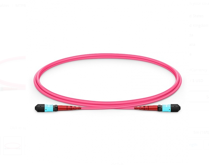 Dây nhảy quang MTP to MTP Female, OM4 Type A, 24 Fibers Elite Trunk Cable Bunch - Xmethod Network - Hàng chính hãng