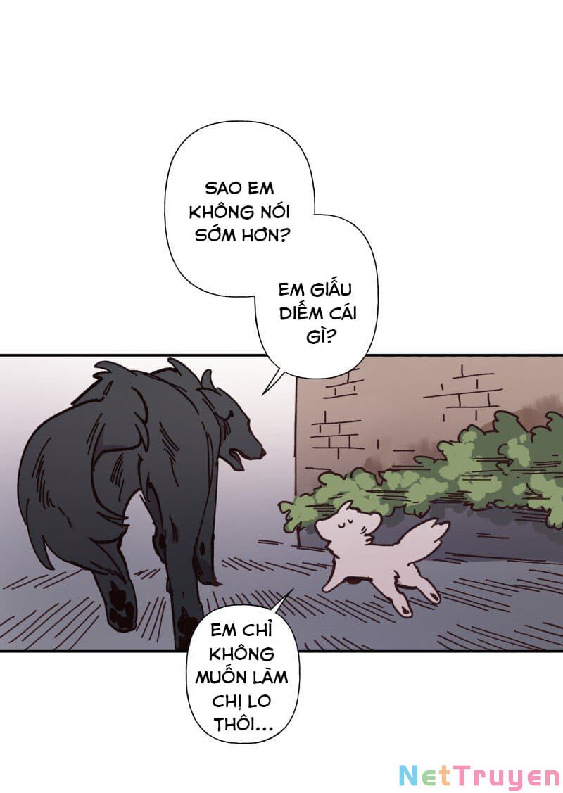 lumine - cội nguồn ánh sáng chapter 82 24