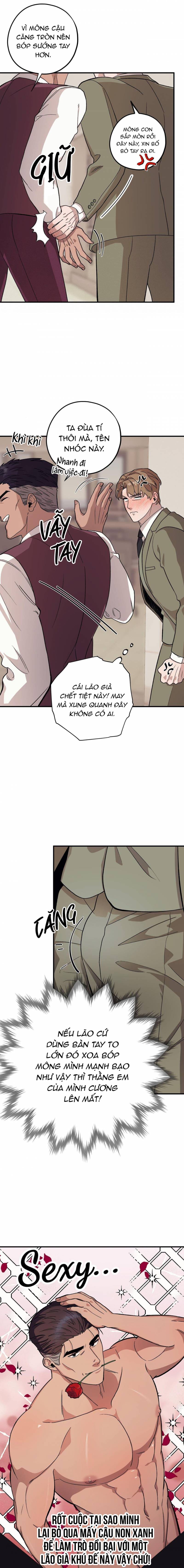 chàng dâu nhà họ kang chapter 49 16