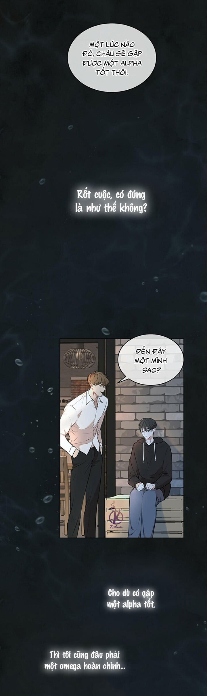 hình thái khởi sinh chapter 24 12