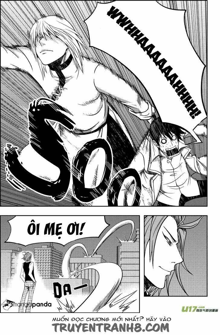 macrophage regulation chapter 6 10