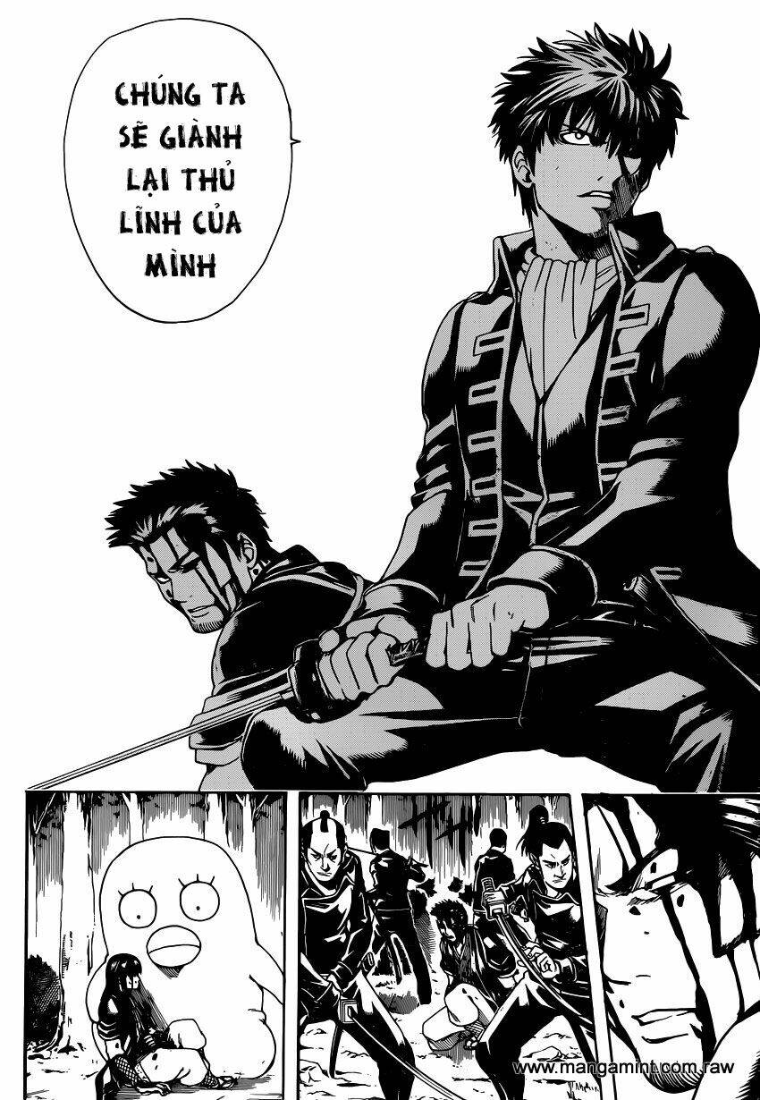 gintama - linh hồn bạc chapter 538 8