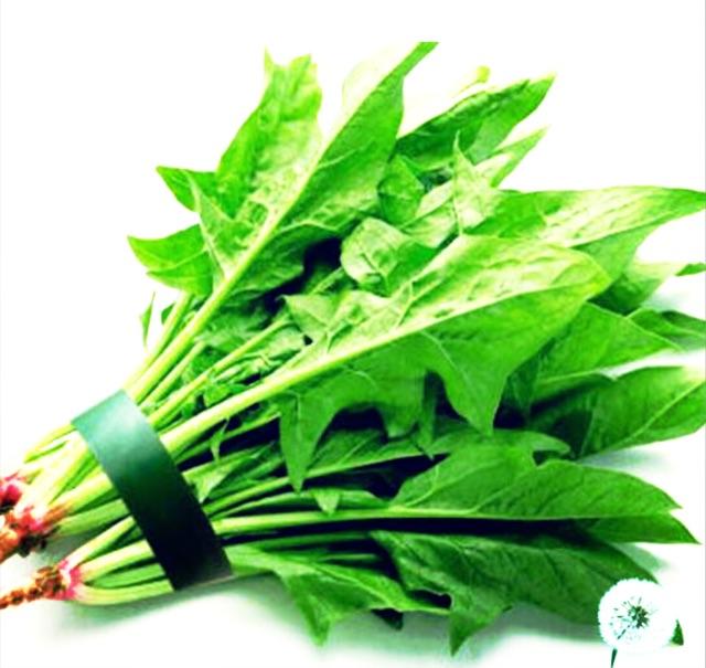 Hạt Giống Cải Bó Xôi/Cải Bina/Cải Chân Vịt