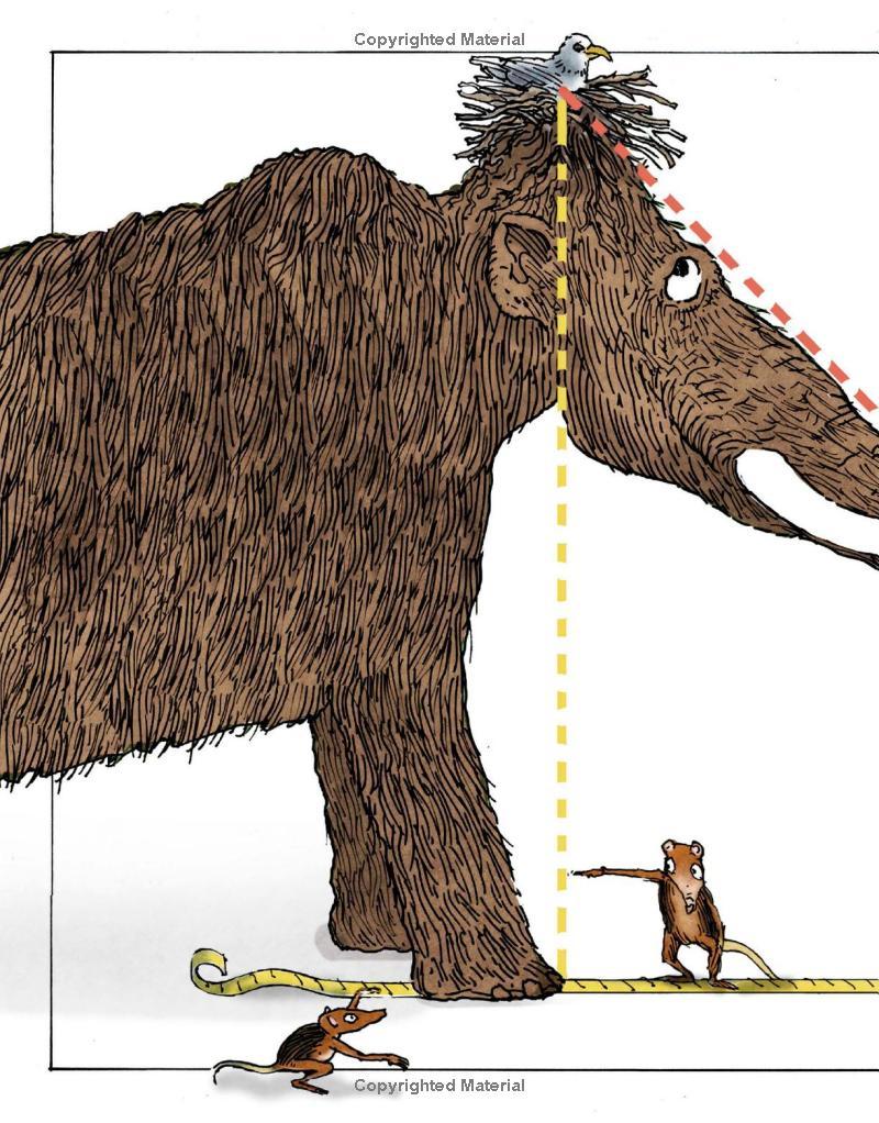 Mammoth Maths: Everything You Need to Know About Number