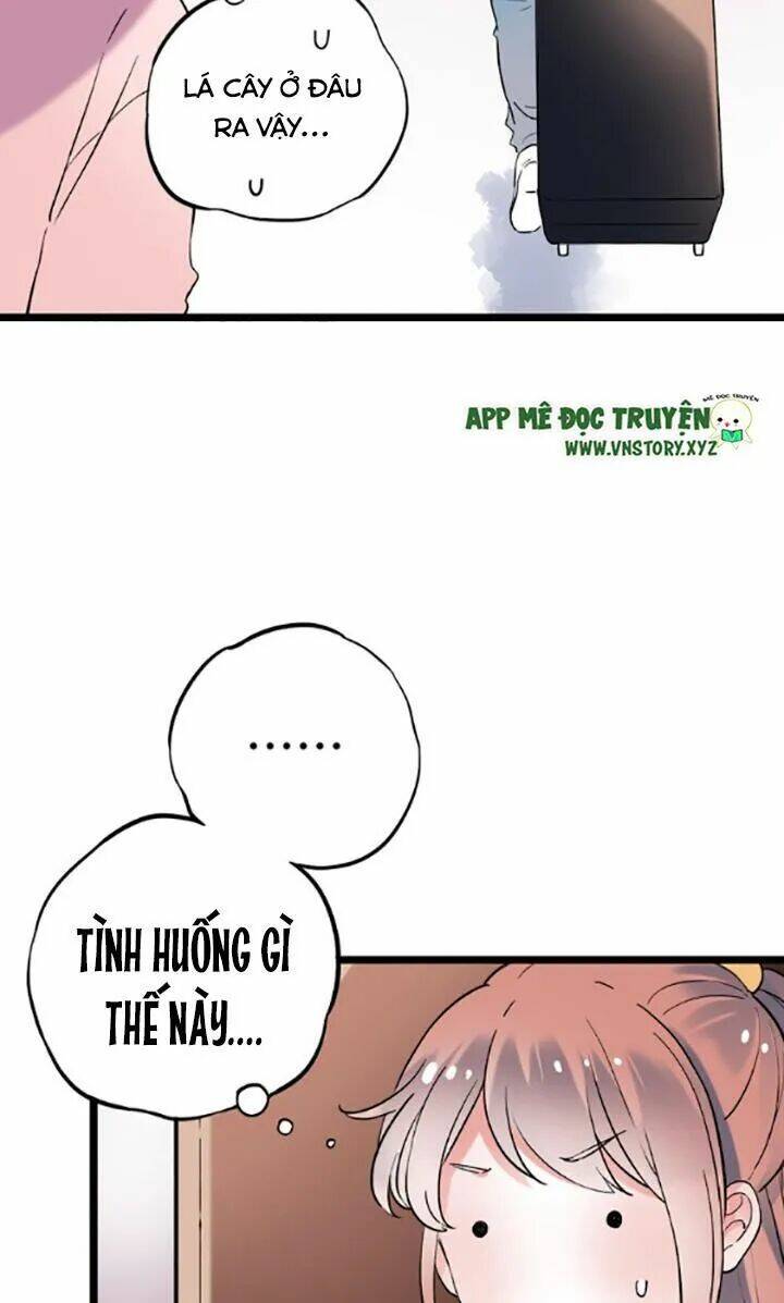 trạch thượng tịch mịch huỳnh hỏa chapter 25 19