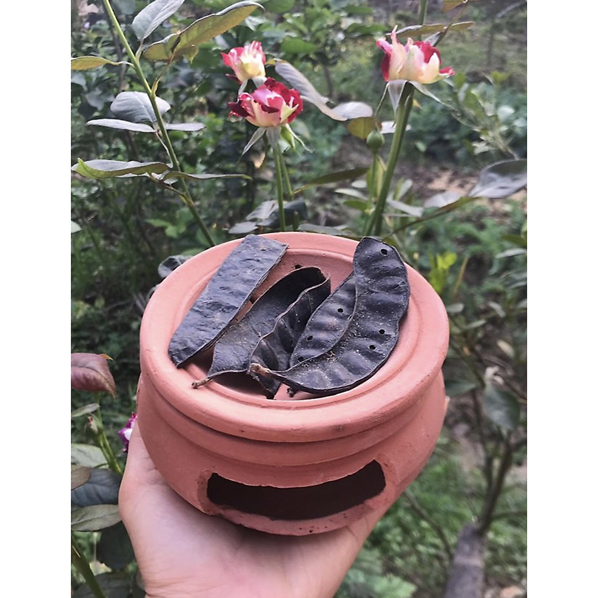 Bếp xông bồ kết đất nung cỡ bé