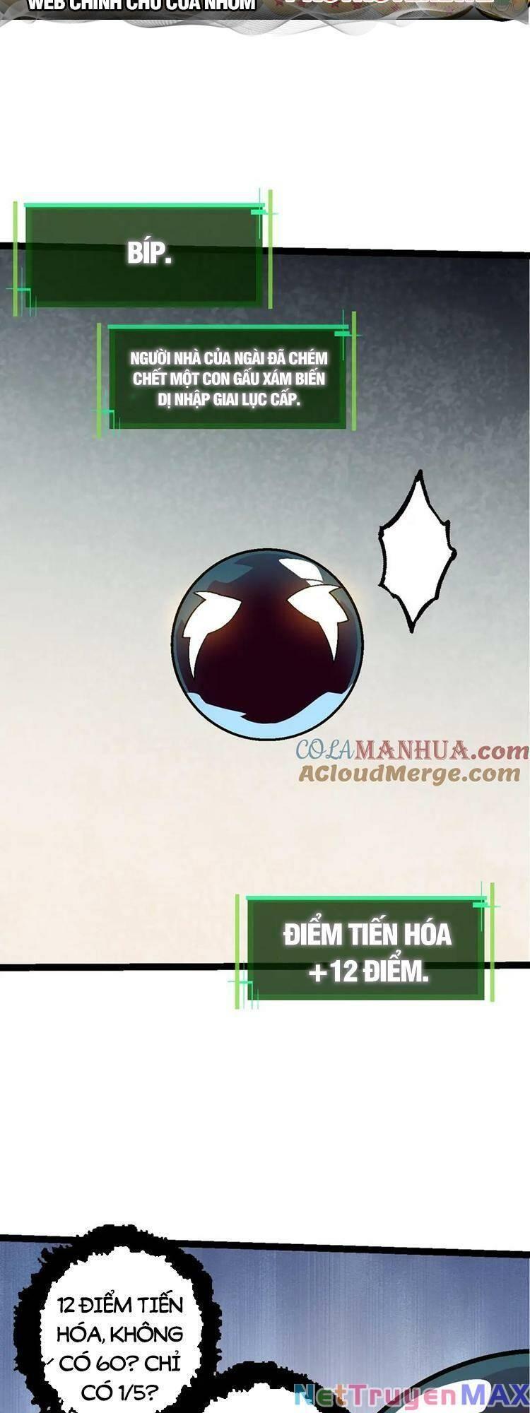 chuyển sinh thành liễu đột biến chapter 90 1