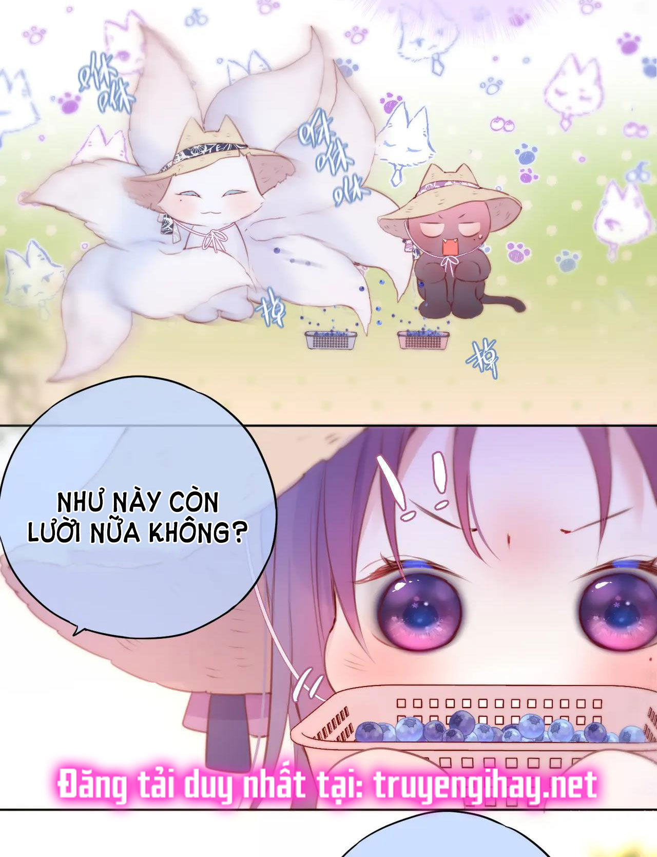 cạm bẫy của hồ ly chapter 23.2 4