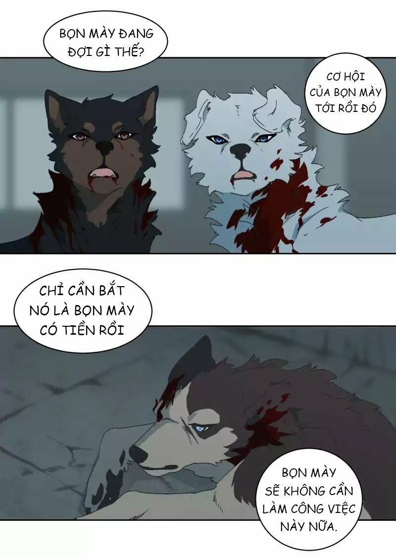 lumine - cội nguồn ánh sáng chapter 28 10