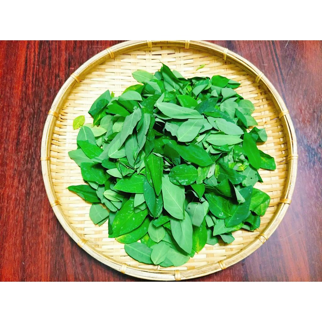 Hạt Giống Rau Bồ Ngót