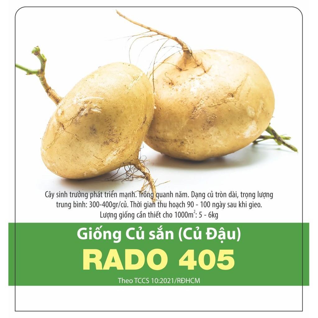 Hạt Giống Củ Sắn (Củ Đậu) Rado 405 gói 10gr Dễ Trồng- NON GMO- Hạt giống Rạng Đông, Chất lượng vượt trội !