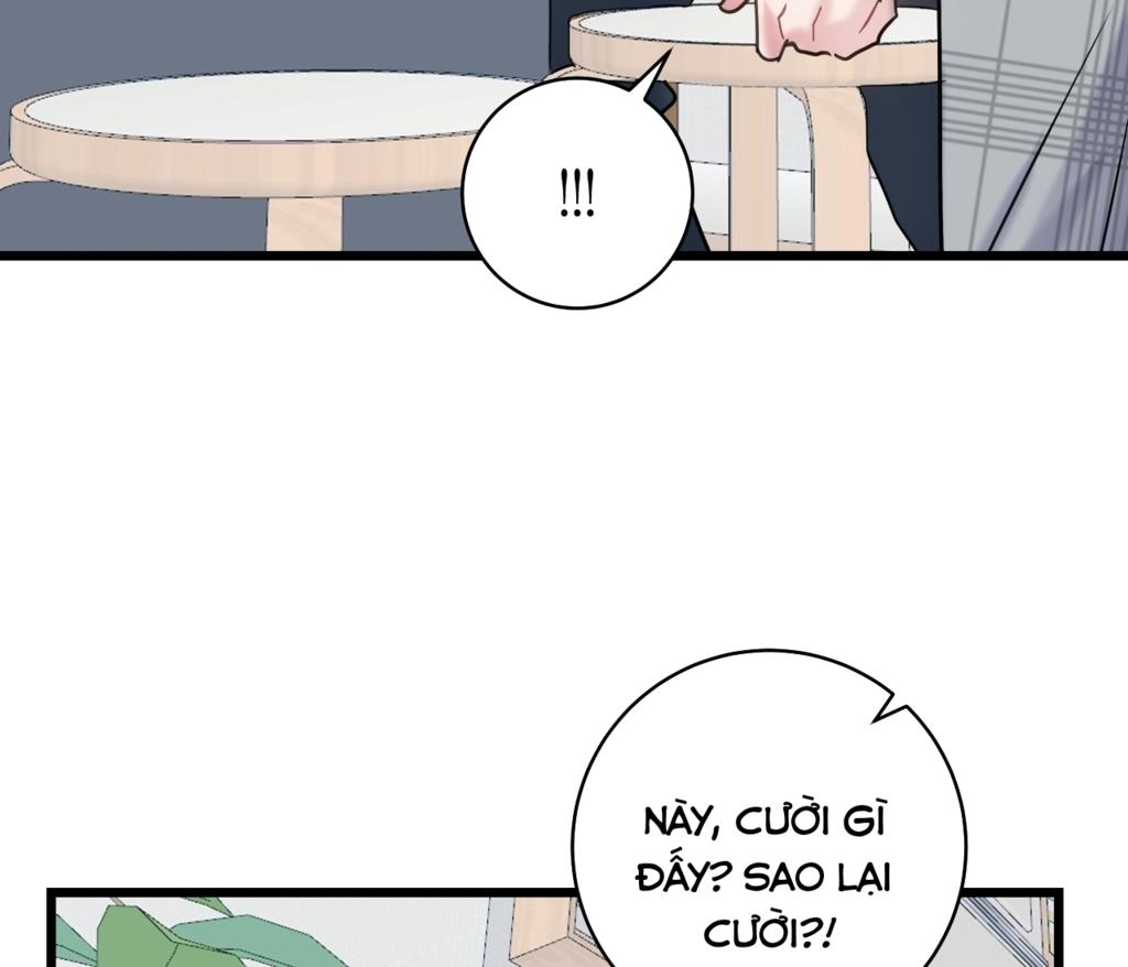 tình yêu bình dị nhất chapter 13 81