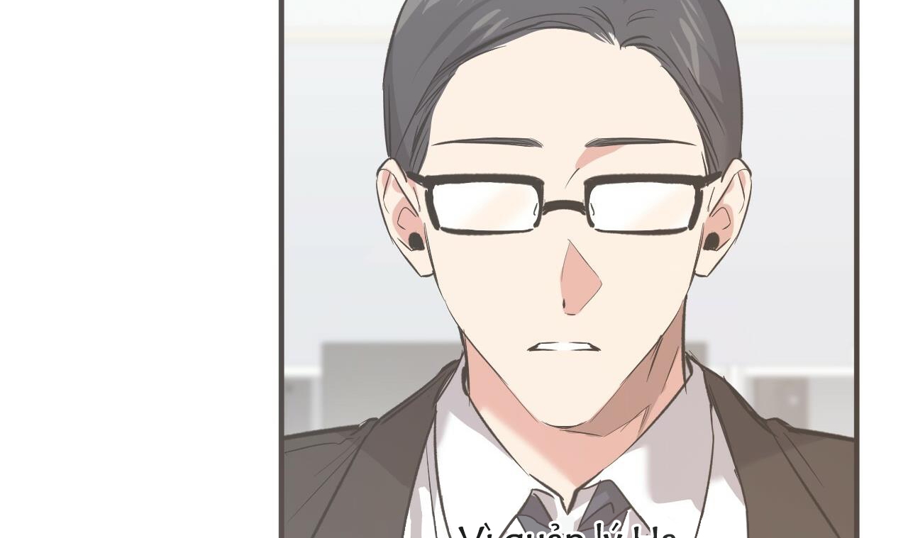 những chú thỏ của hapypy chapter 56 38