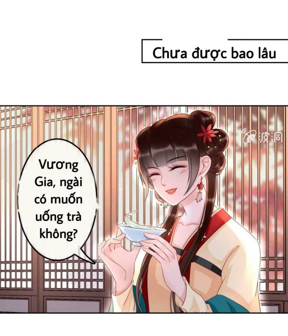 sủng phi của vương chapter 44.2 17