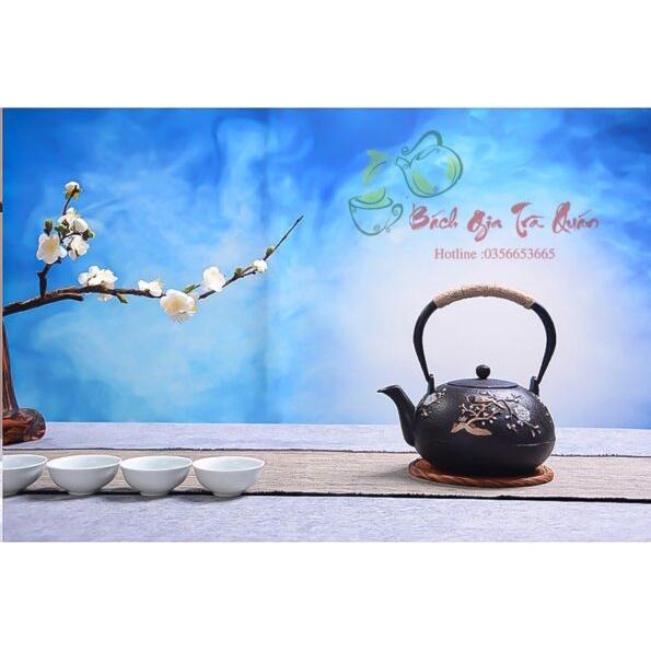 Ấm Gang Tetsubin - Quai Gang Quấn Dây Cói - Họa Tiết Én Báo xuân - Dung Tích 1200ml