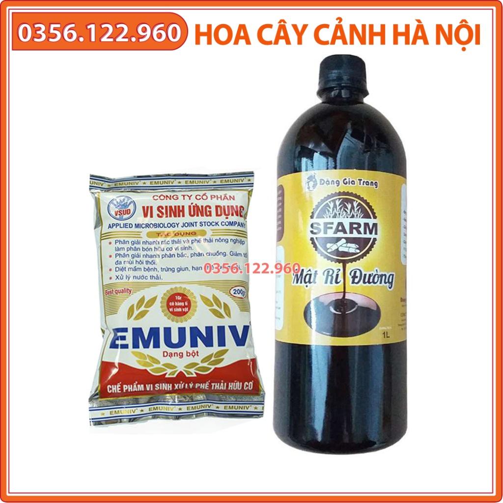 Combo ủ phân cá và rác hữu cơ: 1 gói EMUNIV 200g + 1 chai mật rỉ đường 1 lít - Shop hoa cây cảnh Hà Nội