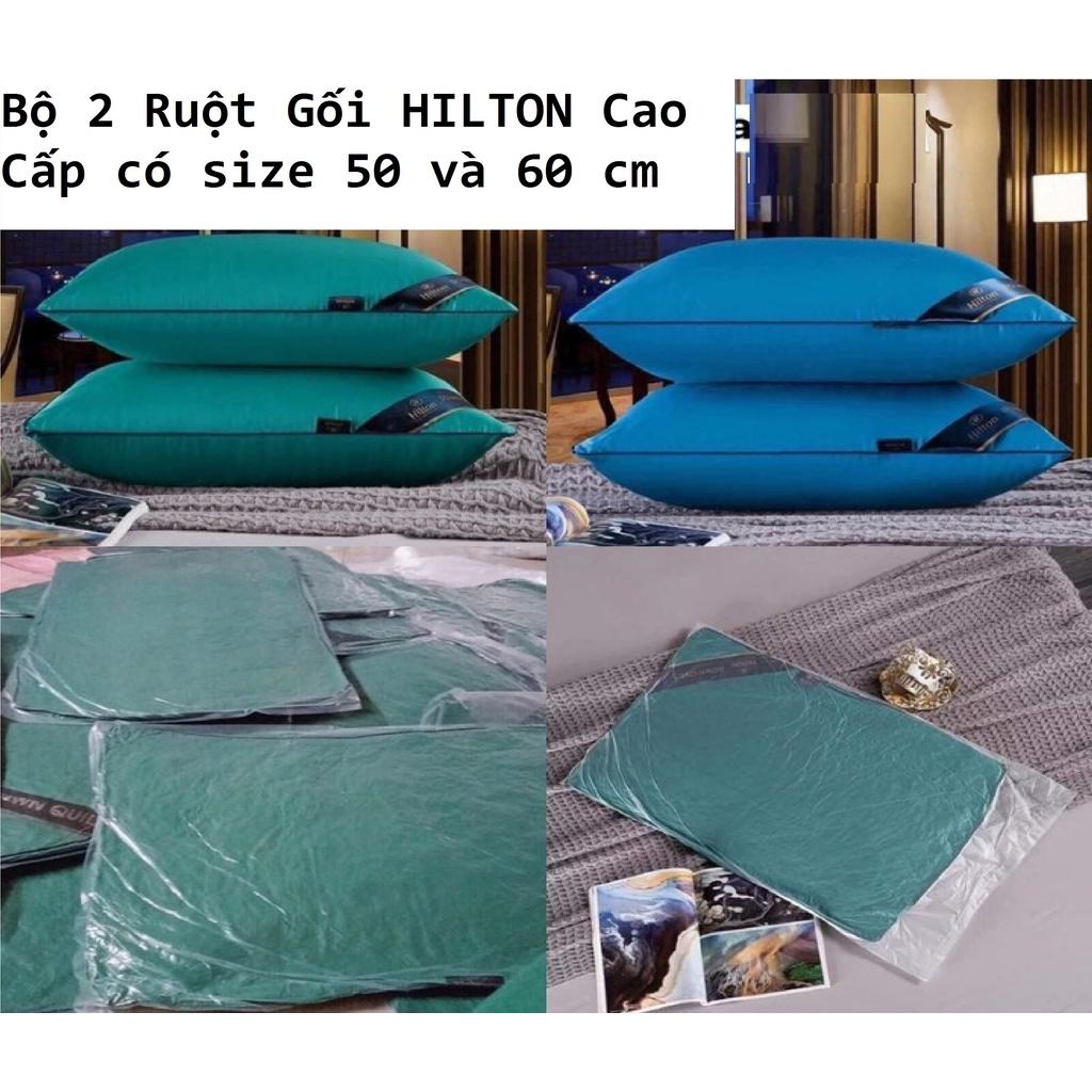 Bộ 2 Ruột Gối HILTON Cao Cấp - Giao Màu Ngẫu Nhiên