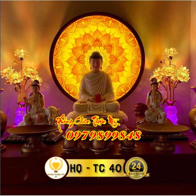 Đèn hào quang trúc chỉ in_HQTC40