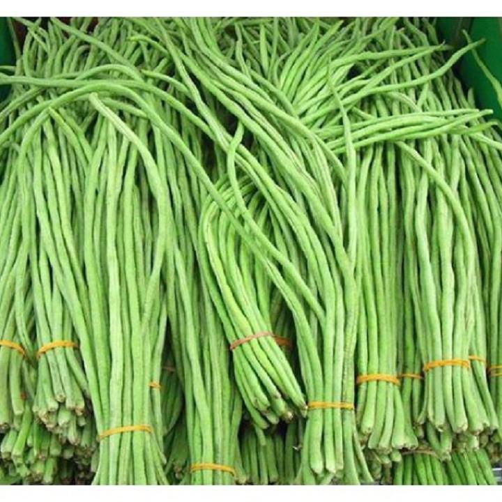 Hạt Giống Đậu Đũa Xanh Cao Sản -