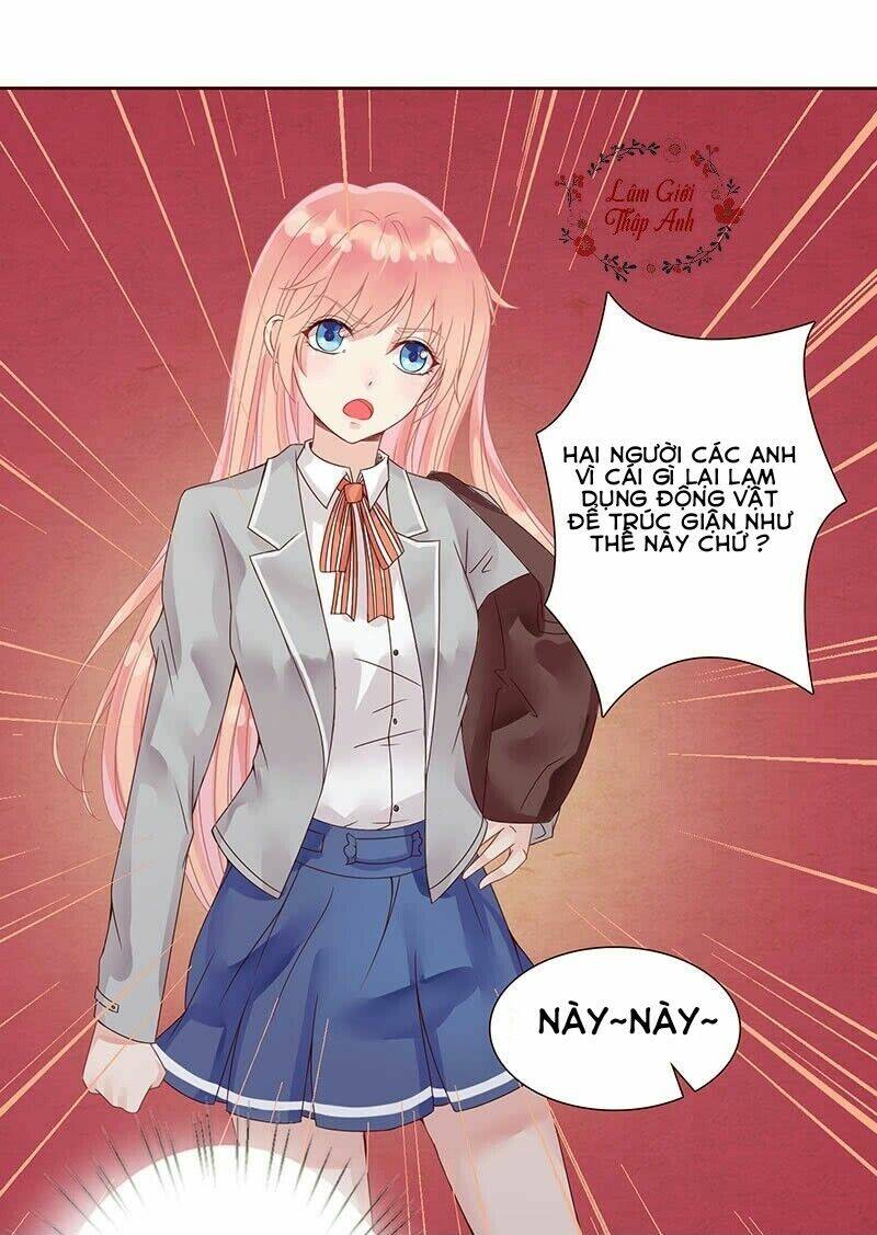 băng sơn học trưởng không được chọc chapter 1.1 21
