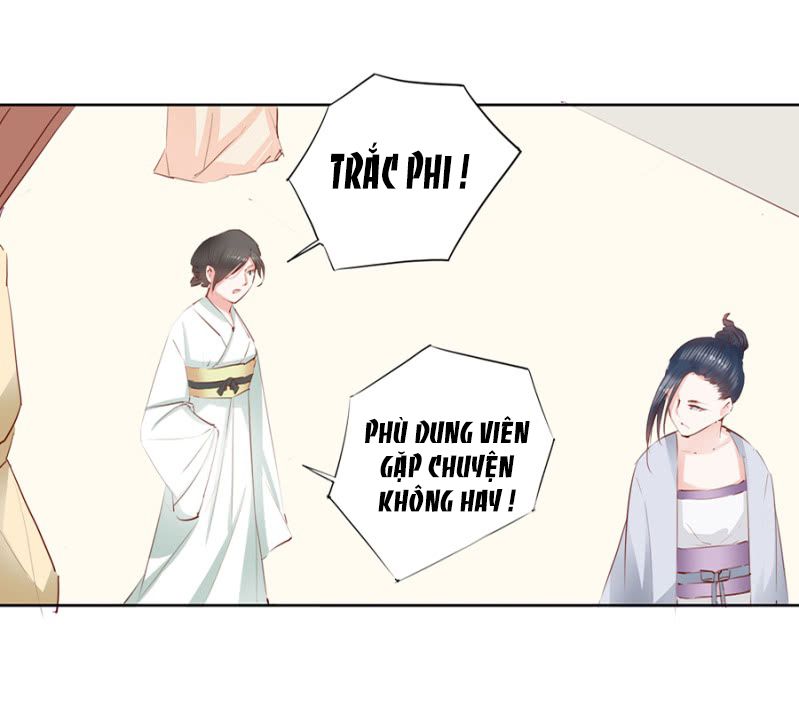 solo đi vương gia chapter 8 9