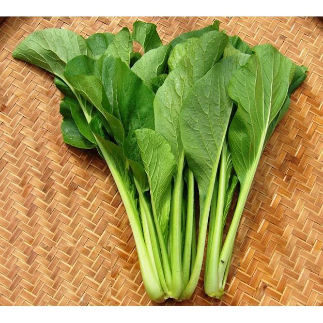 PN - Hạt Giống Rau Cải Ngọt - Trồng Rau Xanh Rau Sạch Bằng Đất Sạch, Xơ Dừa Và Phân Bón Hữu Cơ