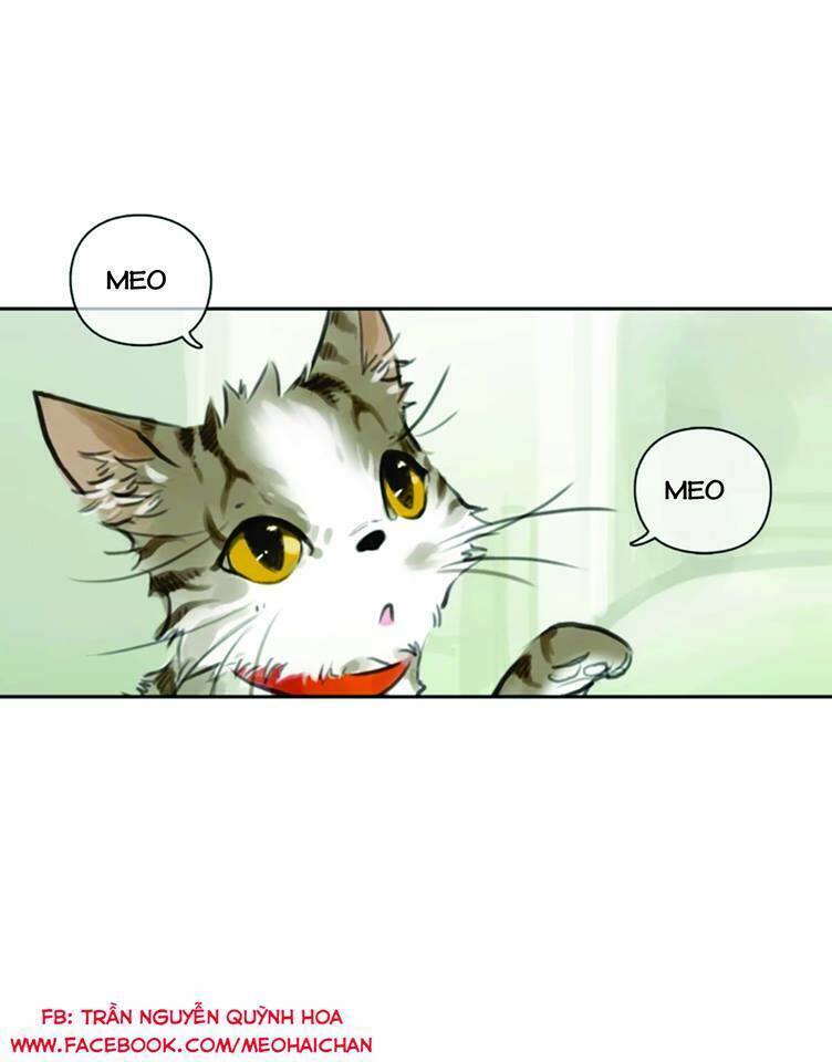 12 giờ của lọ lem chapter 40 2