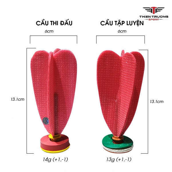 Qủa cầu đá thi đấu ĐLS và quả cầu đá tập luyện ĐLS