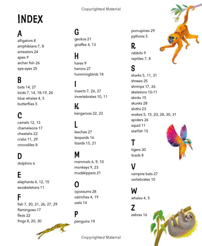 Sách ngoại văn: I Wonder Why Camels Have Humps