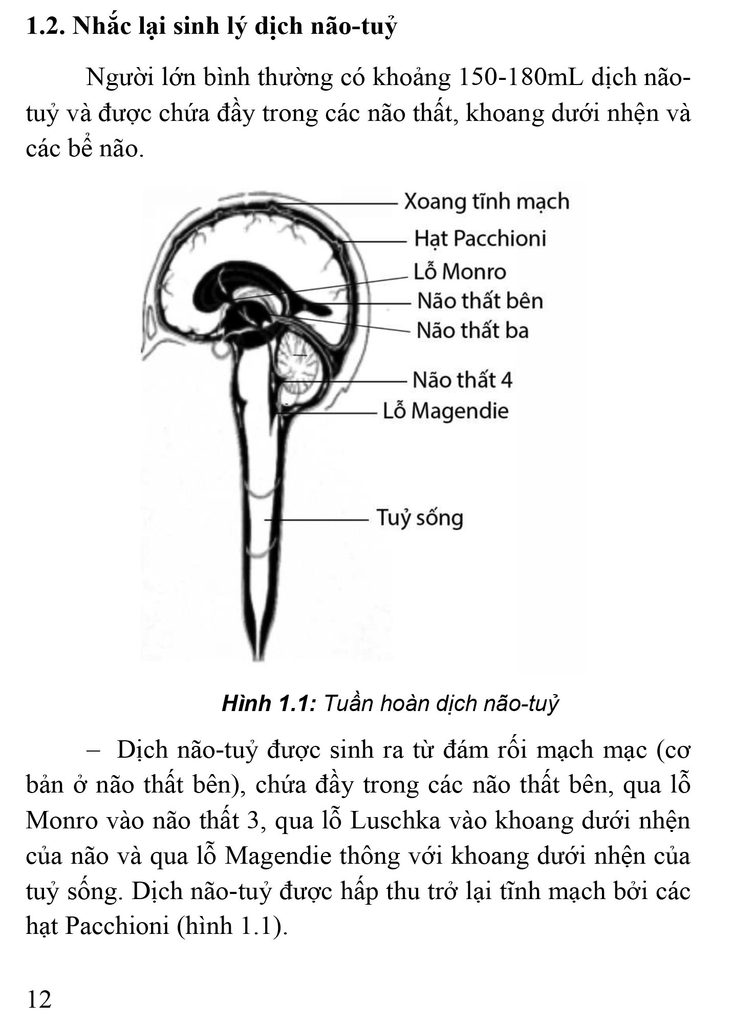 Thực Hành Lâm Sàng Thần Kinh Học - Tập 4: Chẩn Đoán Cận Lâm Sàng