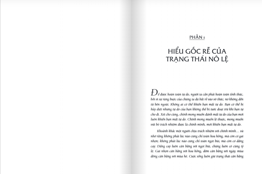 Tự Do - Như Chim Tung Cánh (Osho)