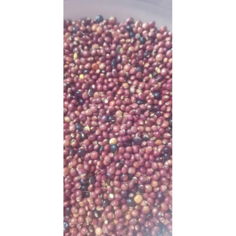 500 gram hạt đậu săng