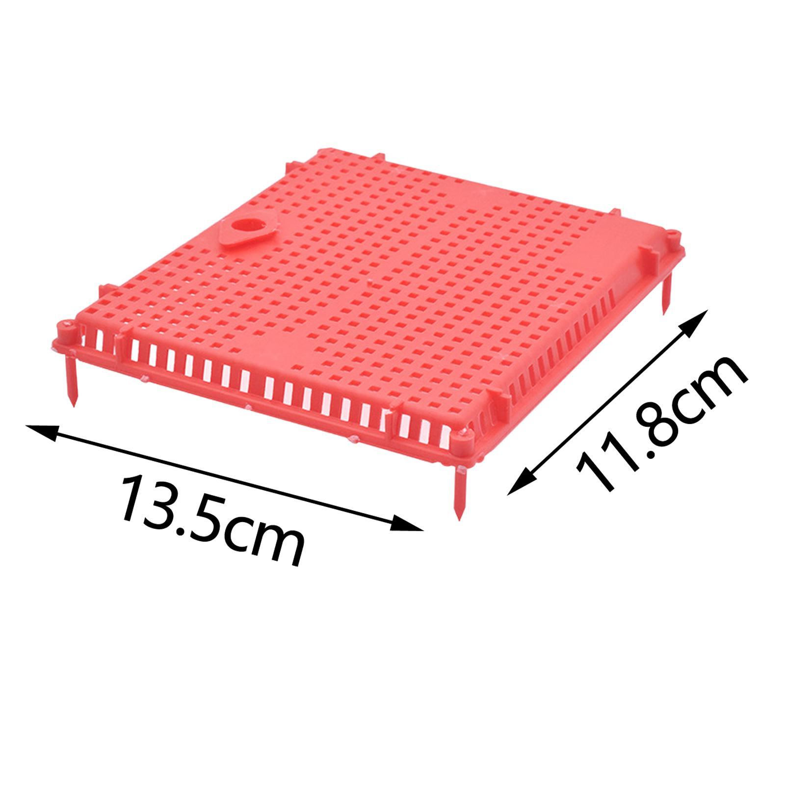 Queen Bee Isolator Introducing Cage Plastic Equipment Reusable Beekeeping