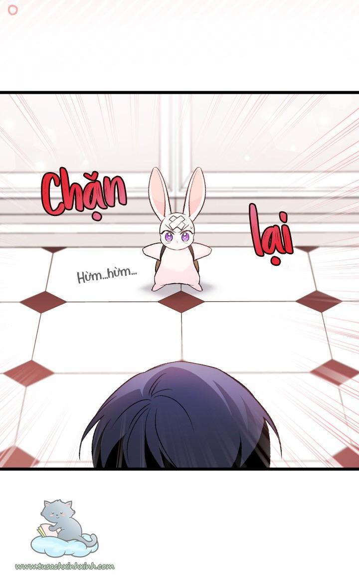 quan hệ cộng sinh giữa báo đen và thỏ trắng chapter 59 42