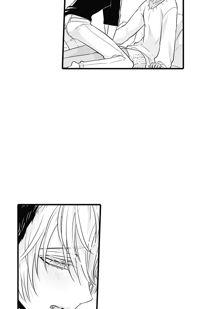 gấu ngủ đông chapter 10.2 22