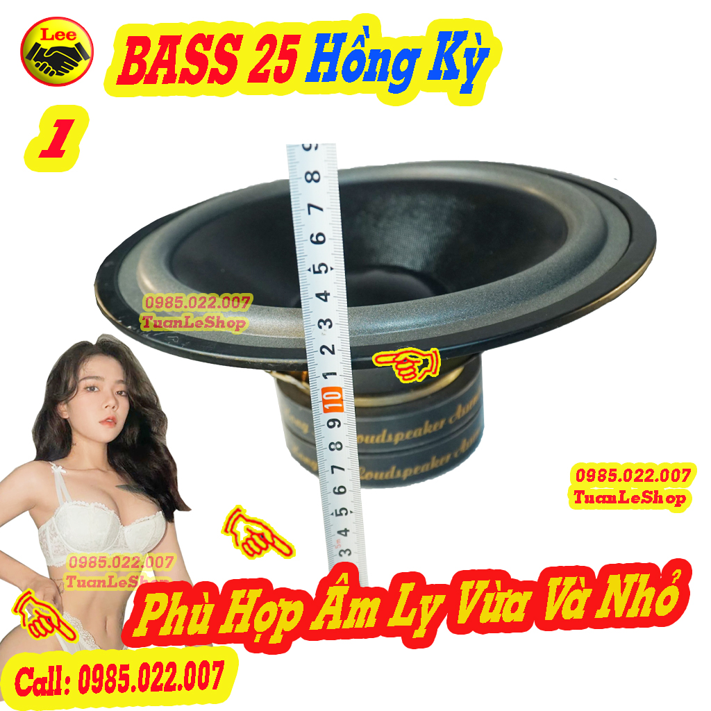 01 LOA BASS 25 MÀNG ĐEN TỪ KÉP  – GIÁ 01 LOA 2.5 TẤC