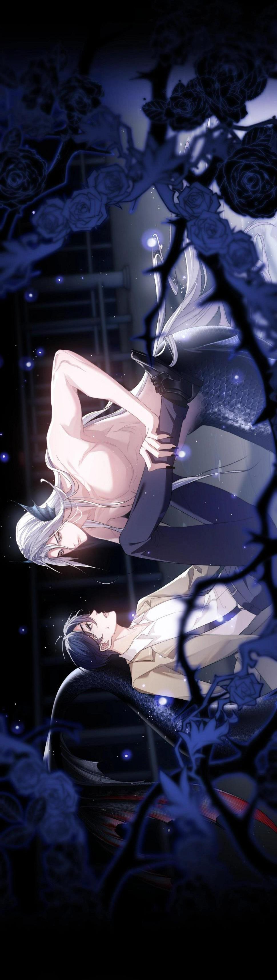 người cá desahrow chapter 3 12