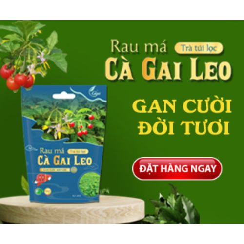 Trà Túi Lọc Rau Má Cà Gai Leo Gigaherbs - Trà Túi Lọc Thảo Mộc Giúp Giải Độc Gan, Hạ Men Gan Túi 250g ( 64 Túi Lọc)