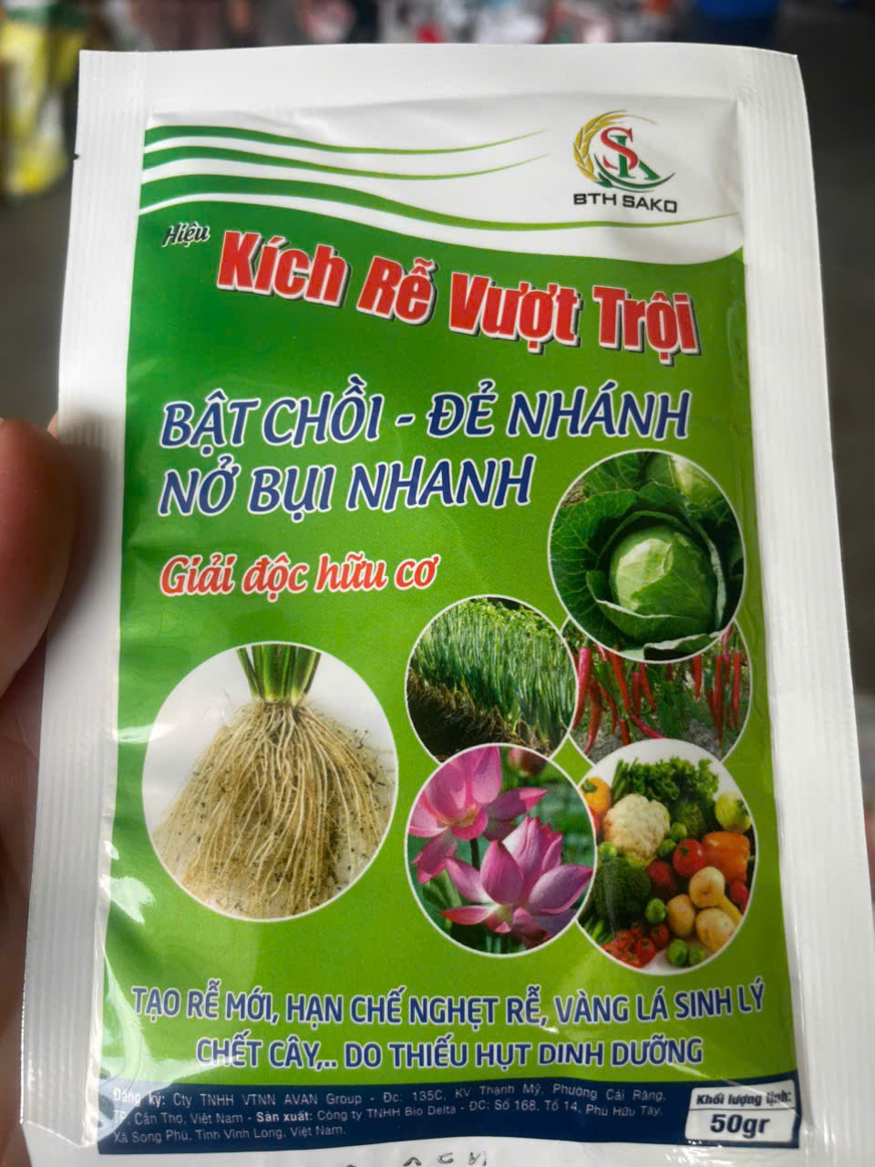 Kích rễ vượt trội - kích thích ra rễ, thúc đẩy bật chồi, đẻ nhánh, nở bụi nhanh
