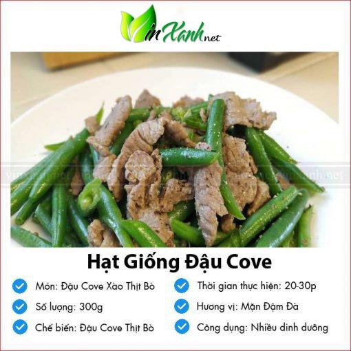 Hạt giống đậu cove - NGUYÊN GÓI hàng công ty tuyển chọn kháng bệnh sống khỏe